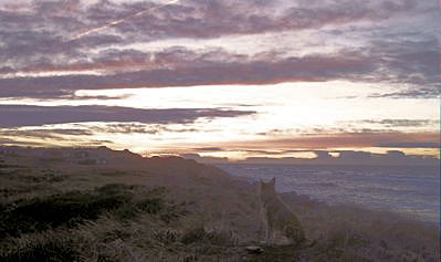 Abendspaziergang 1a1