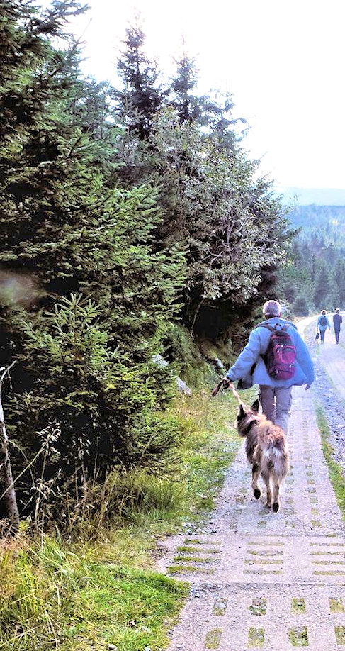 Brocken 8, das grne Band a1a