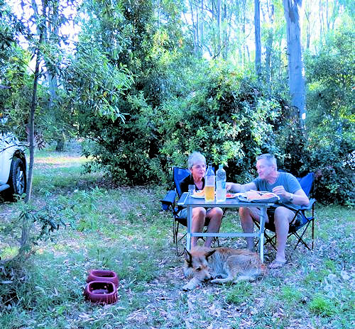 Camping Eucalyptus a