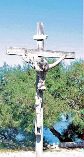 Centuri - Wurzelkreuz 2a