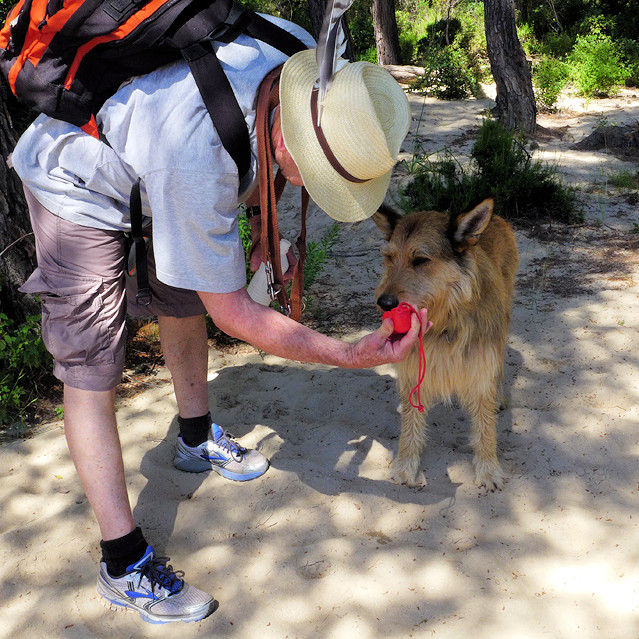 Desert de agriates 2a