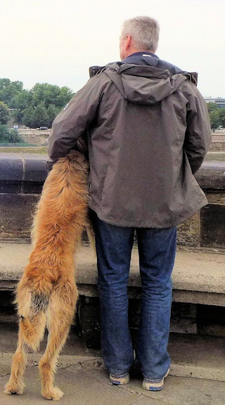 Dresden Blick auf Semperoper a