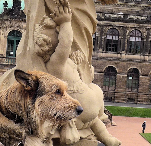 Dresden Blick von Zwinger 2a