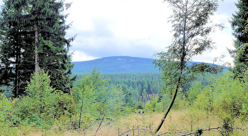 Eckerstausee, Brocken aa