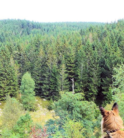 Eckerstausee, Innerdeutsche Grenze aa