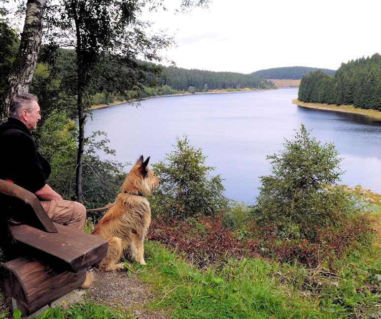 Eckerstausee, Rast 2a1a