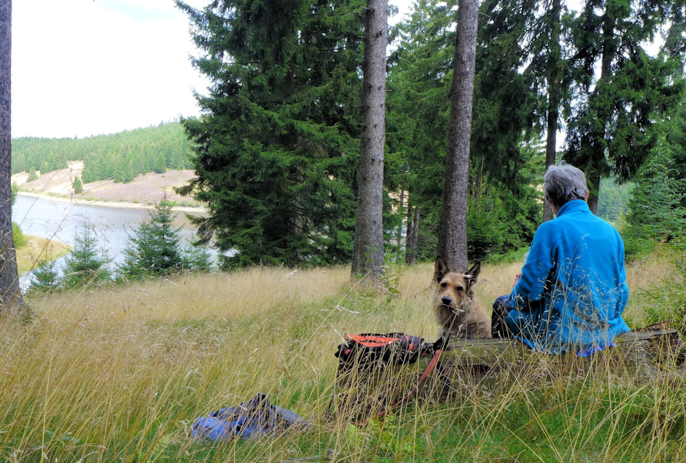 Eckerstausee, Rast a