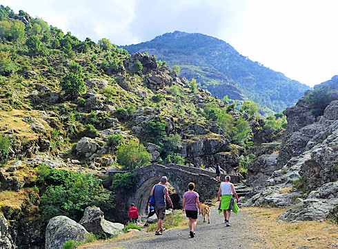 Genuesenbrcke Asco 1a