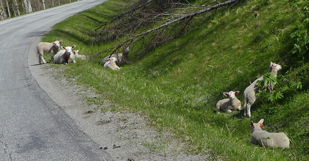 Grongstadfossen 2 Tag 6