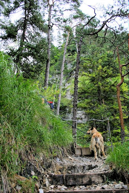 Hoher Fricken Anstieg a