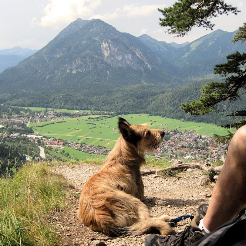 Hoher Fricken Aussicht a