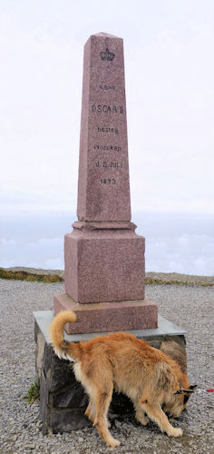 Kong Oscar Stele