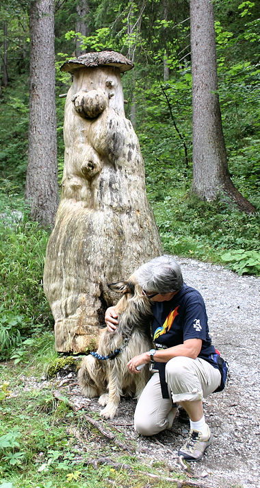 Knigsweg Wurzelsepp a