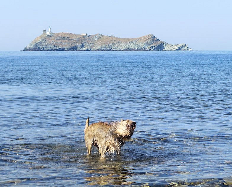 Korsika Ile d. la G. mit Max1a