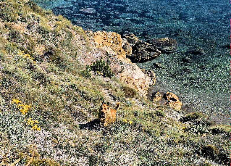 Korsika Zllnerpfad 1a