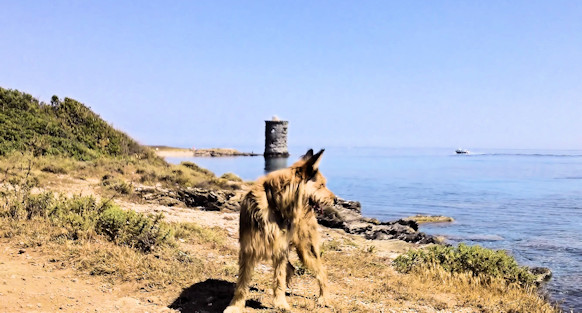 Korsika Zllnerpfad 3a