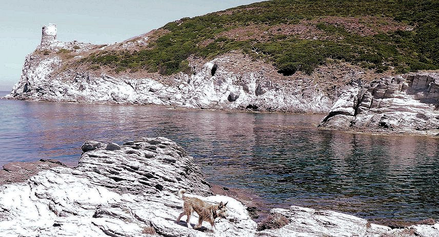 Korsika  W. z. Ponte di Agnello-4a