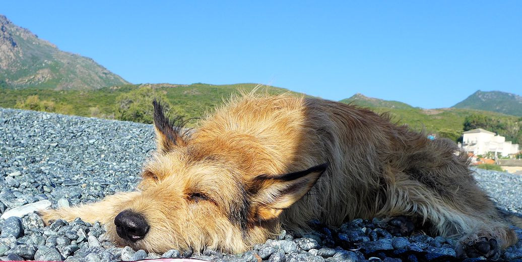 Marine dalbo, Baden 6a