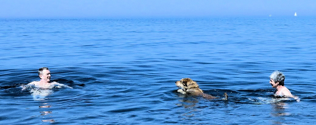 Marine dalbo , Baden1a