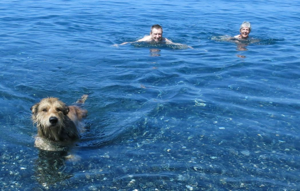 Marine dalbo , Baden 3a