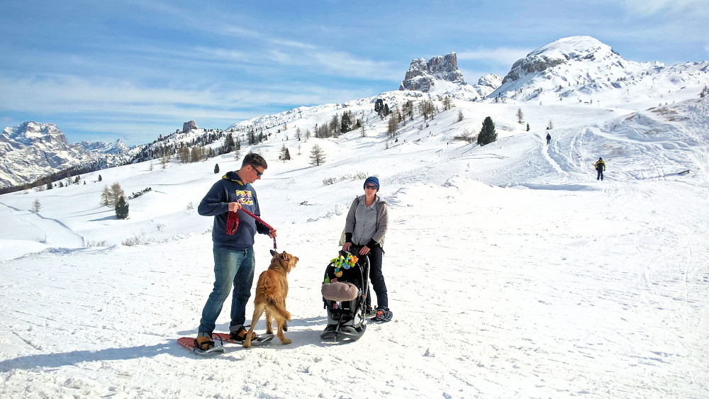 Max Angi Elmar u B 1a