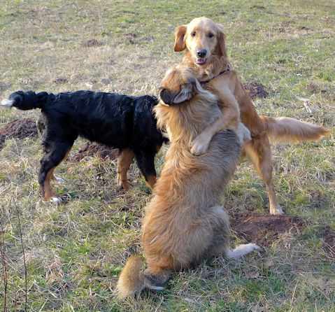 Max Luna und Sandy 2a