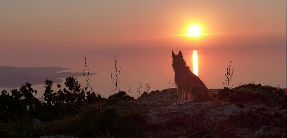 Max im Sonnenuntergang a