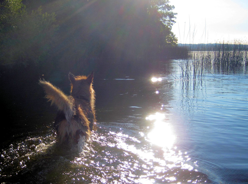 Max im Wasser 1a