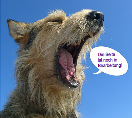 Max mit Sprechblase a