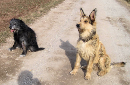 Max und Filli a 10.03.11