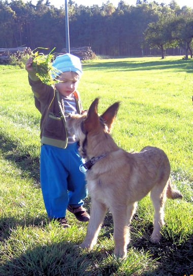 Max und Ole 10.10.10-4a