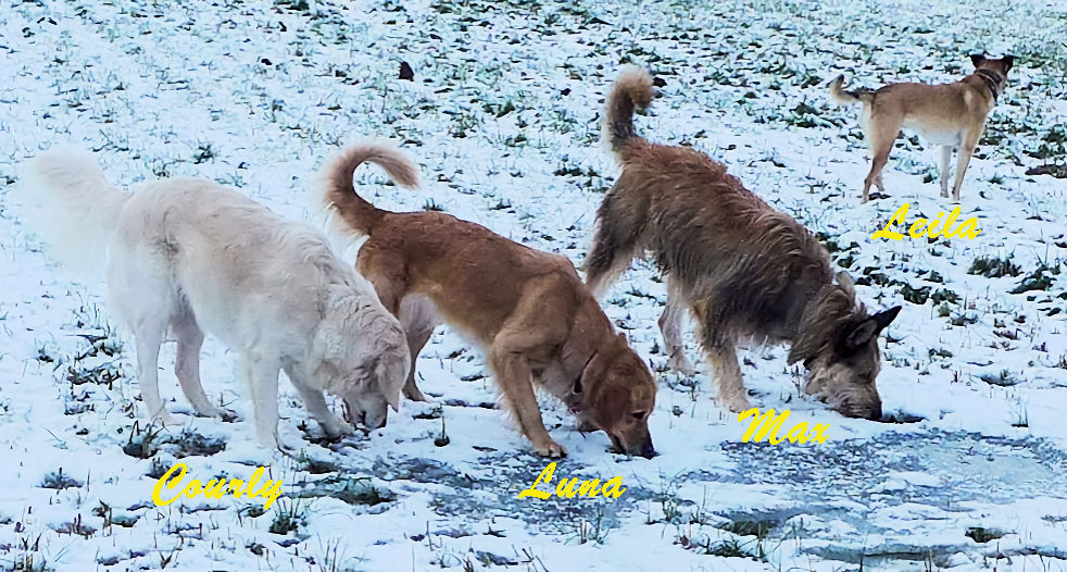 Max und seine Mdels 1a