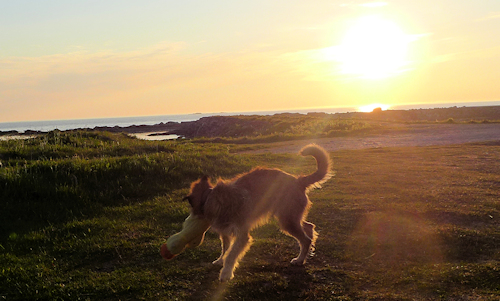 Mitternachtssonne 2 Tag 11