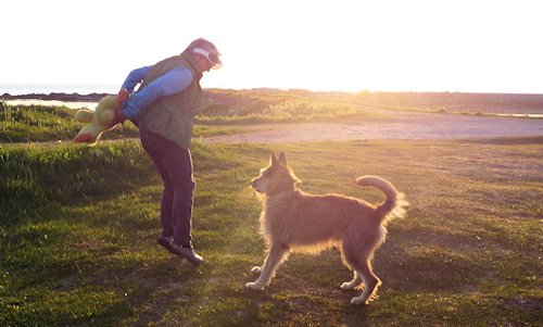 Mitternachtssonne Tag 11