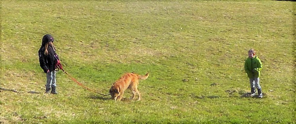 Nachmittagsspaziergang 1a