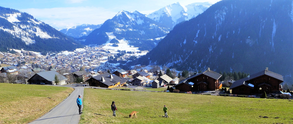 Nachmittagsspaziergang 2a