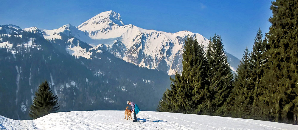 Nachmittagsspaziergang 4a