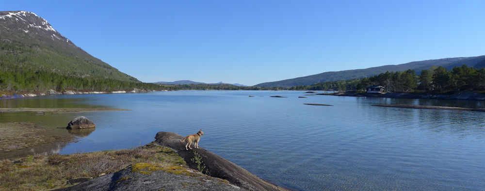 Sardnesvatnet 3 Tag 10