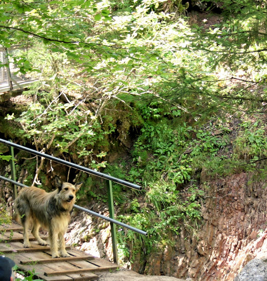 Schleifmhlenklamm 1a