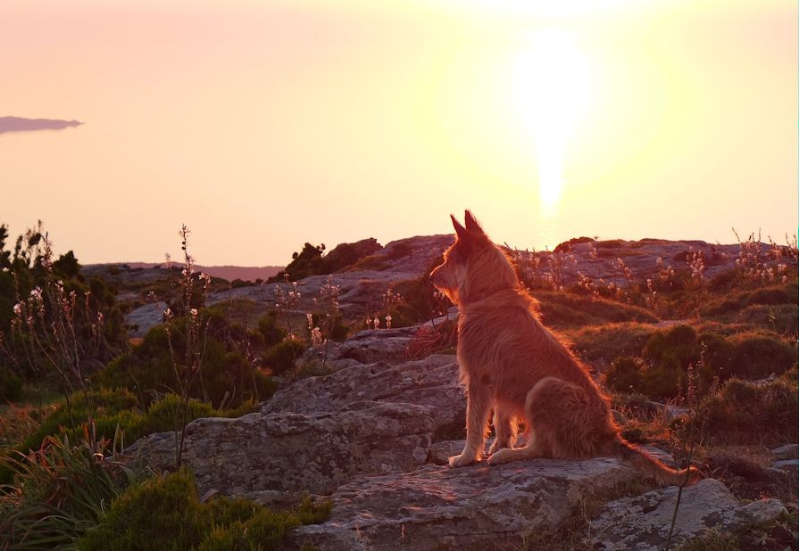 Serra di Pigno, Max a
