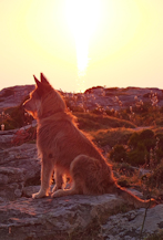 Serra do Pigno, Max a