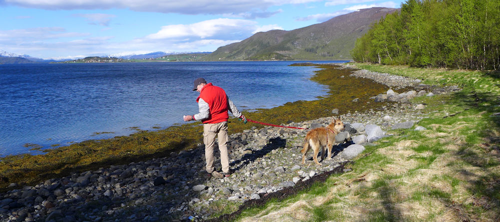 Skjierstadfjord 2 Tag 8