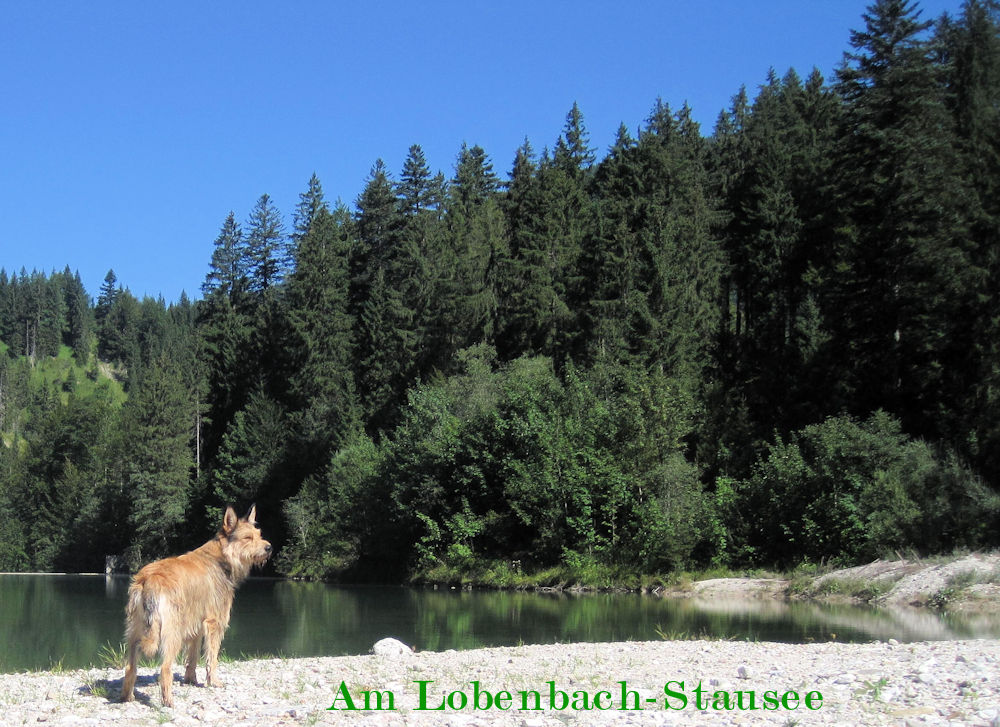 Stausee Lobenbachtal a