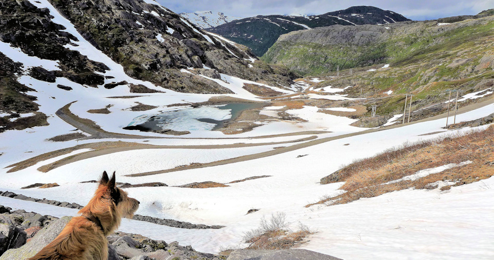 Storglomvatnet  Svartisen3