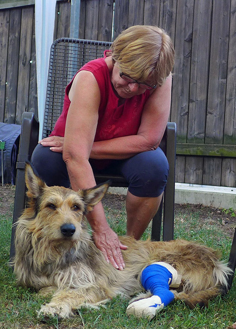 Streicheleinheiten 2aa