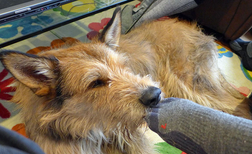 Strumpf ausziehen aa