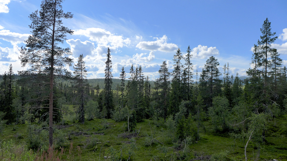 Trysil bernachtungsplatz