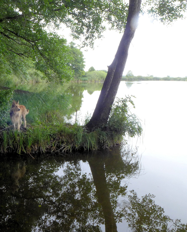 Uckermark Am Krummer See a