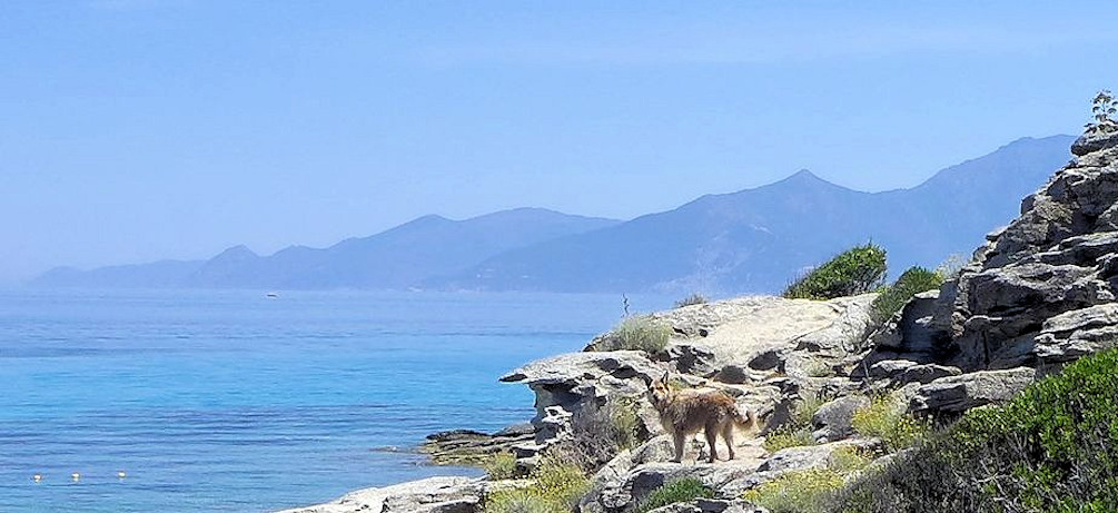 Wanderung plage de Lotu 3a