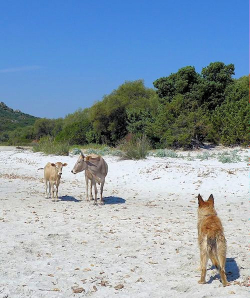 Wanderung plage de Lotu 5a